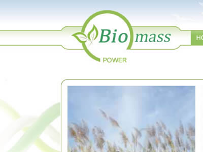 Website Design