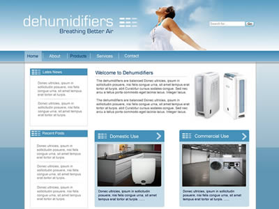 Website Design