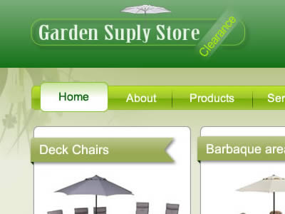 Website Design