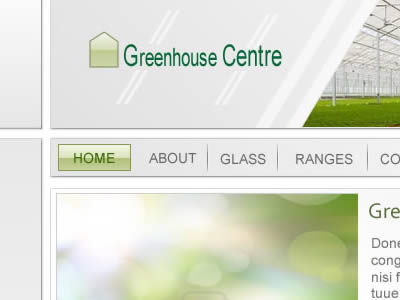 Website Design