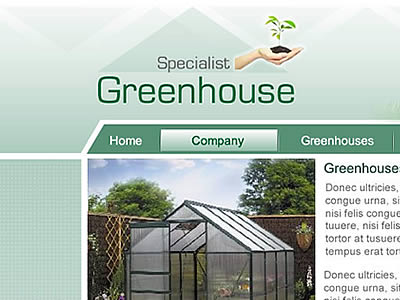 Website Design