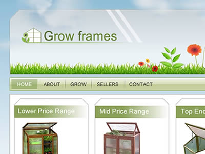 Website Design