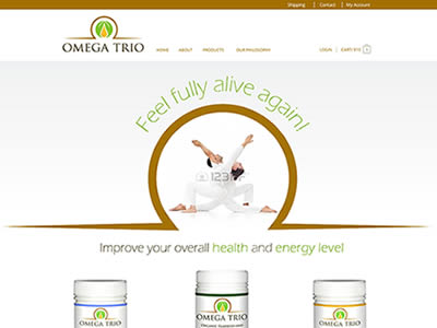 Website Design
