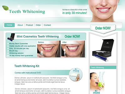 Website Design