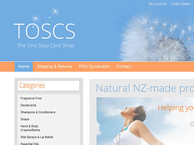 Website Design